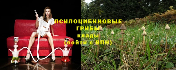 дживик Магас