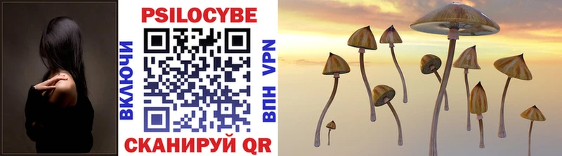 Купить  Волжский  Псилоцибиновые грибы Psilocybe 